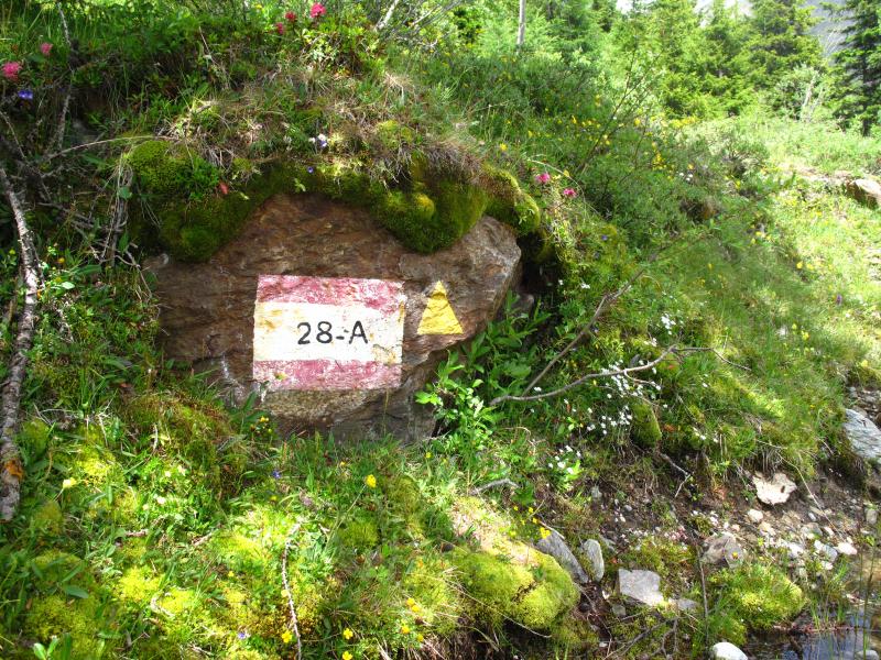 Sentiero 28A dal rifugio Forni al rifugio Branca